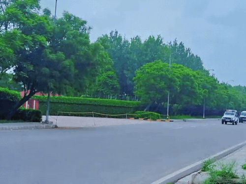 पूर्व मंत्री मजीठिया की हिरासत 2 अगस्त तक बढ़ी:सीएम को संदेश- सरहाने के नीचे हाथ देकर सो रहा हूं; दिल्ली-चंडीगढ़ में छापे