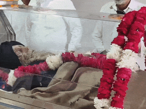 पंजाब के 114 साल के एथलीट को अंतिम विदाई:PMO ने शोक संदेश भेजा, CM भगवंत मान भी आ रहे, फॉर्च्यूनर की टक्कर से मौत