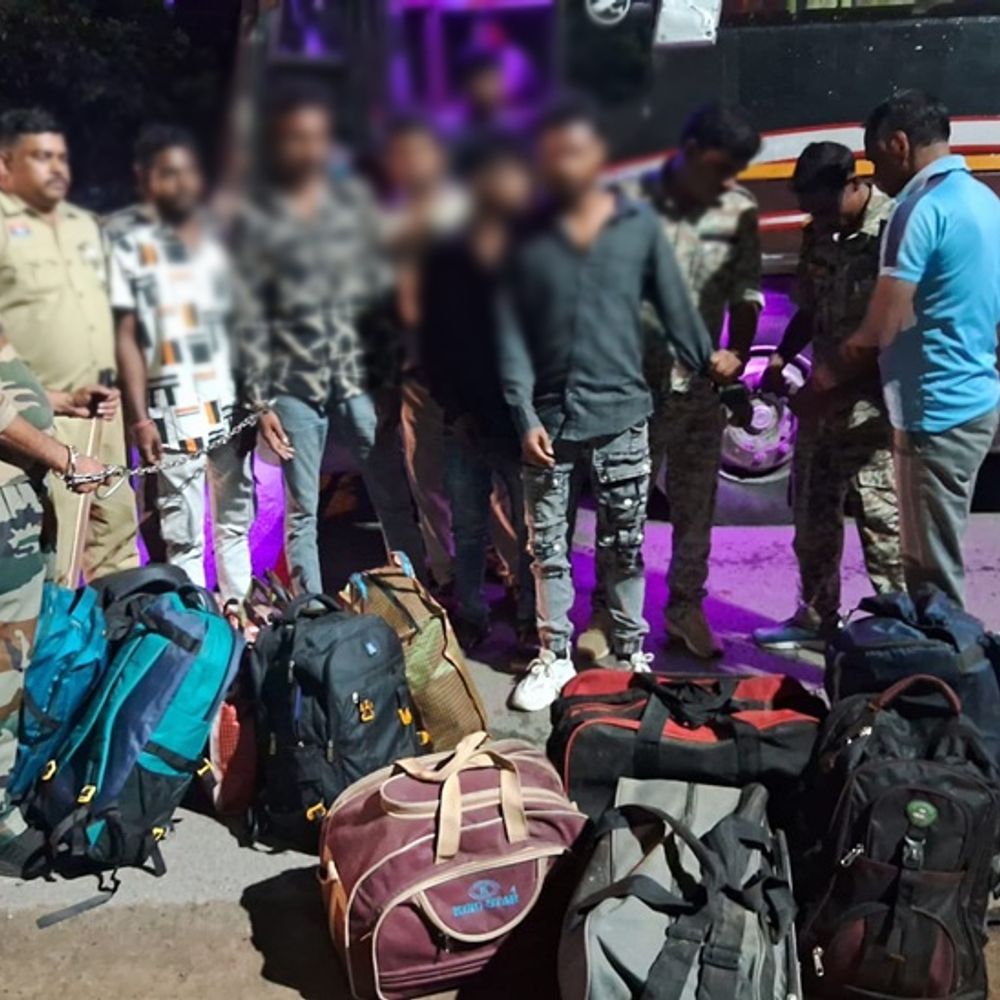 बलरामपुर में यात्री बस में 10 लाख का गांजा मिला:ओडिशा के 4 संदिग्ध हिरासत में, 12 बैगों में भरा मिला 92 किलो गांजा