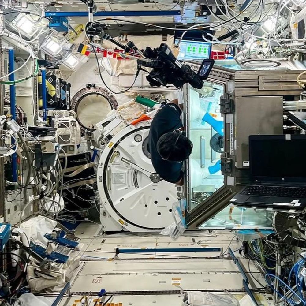 स्पेस में दीवार से लटककर रिसर्च:लखनऊ के एस्ट्रोनॉट शुभांशु ने इंस्टा पर लिखा- अनोखा अनुभव था, माइक्रोग्रैविटी की तस्वीरें साझा कीं