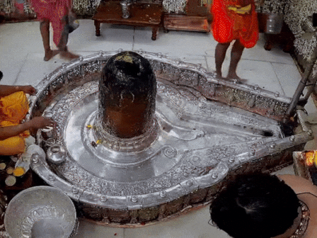 भाजपा विधायक भी बिना परमिशन महाकाल गर्भगृह में घुसे थे:​​​मंदिर प्रशासन बोला- गोलू शुक्ला ने बदसलूकी भी की; 7 दिन में जांच होगी