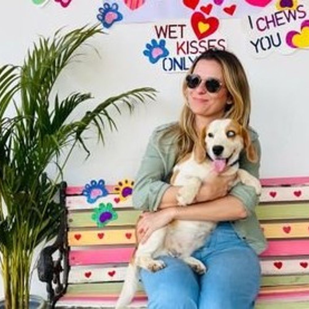 फ्रांसीसी महिला बोली- सुअरों के घर जैसा बना गुरुग्राम:हम जानवरों जैसे रह रहे; केंद्रीय राज्य मंत्री भी कह चुके- इंटरनेशनल बेइज्जती होती है