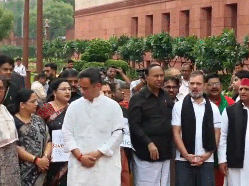 बिहार वोटर वेरिफिकेशन, संसद में विपक्ष का प्रदर्शन:लगातार दूसरे दिन राहुल-अखिलेश शामिल हुए, आज भी सदन में हंगामे के आसार