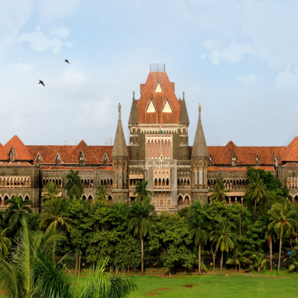 हाईकोर्ट बोला-सड़क खराब तो ठेकेदार कंपनी पर ही FIR क्यों:जो PWD अधिकारी निगरानी करते हैं, वे कैसे बच सकते हैं