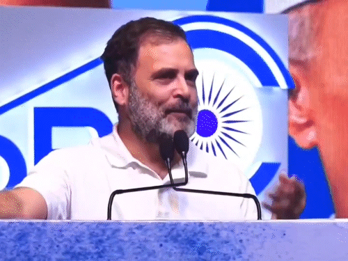 राहुल बोले- मोदी की सिर्फ शो-बाजी, उनमें दम नहीं:मैं दो-तीन बार मिला हूं, उन्हें लोगों ने सिर पर चढ़ा रखा है