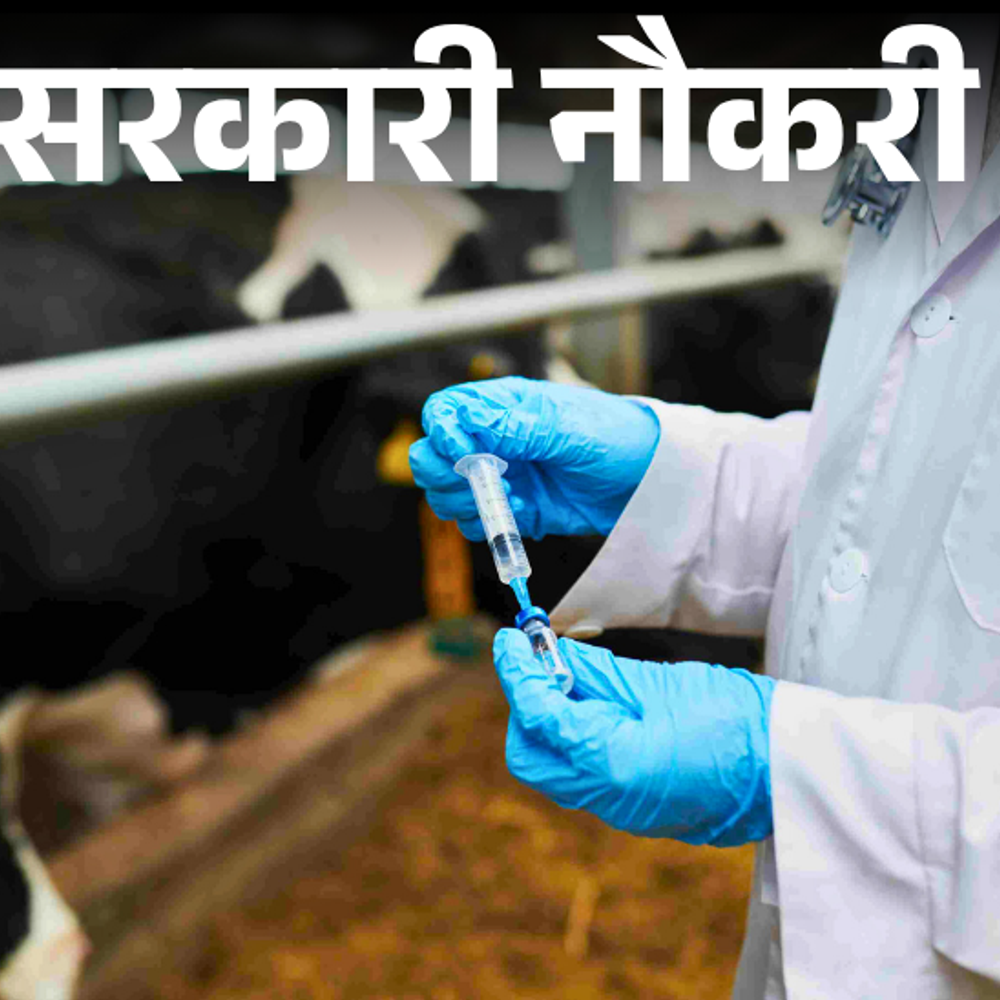 सरकारी नौकरी:RPSC ने वेटेनरी ऑफिसर के 1100 पदों पर भर्ती निकाली, 5 अगस्त से शुरू होंगे आवेदन, लिखित परीक्षा से होगा सिलेक्शन