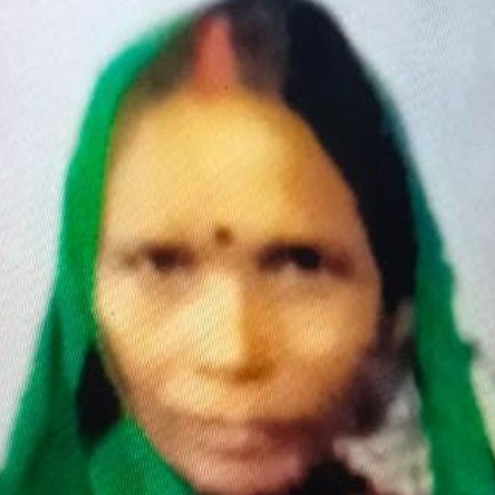 महराजगंज में पिकअप और बाइक की टक्कर:महिला की मौत, चालक घायल, अस्पताल में भर्ती