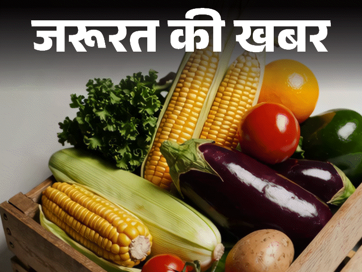 जरूरत की खबर- मानसून में बीमारियों से बचाएंगे ये सुपरफूड्स:जानें इस मौसम में क्या खाने से करें परहेज, अपनाएं 5 हेल्दी आदतें