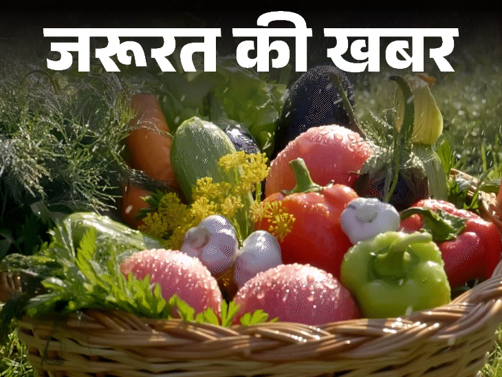 जरूरत की खबर- बारिश में न खाएं हरी सब्जियां:बैंगन और मशरूम बिगाड़ सकते हैं सेहत, डॉक्टर से जानें कैसी हो मानसून डाइट