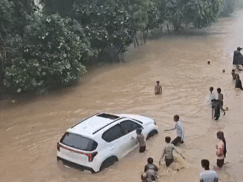 हरियाणा में बारिश के हालात का VIDEO:अंग्रेजों के जमाने की बिल्डिंग गिरी, भैंसें पानी में तैरीं; बाइक-कारें डूबीं, स्कूटी दबी, अस्पताल टपका