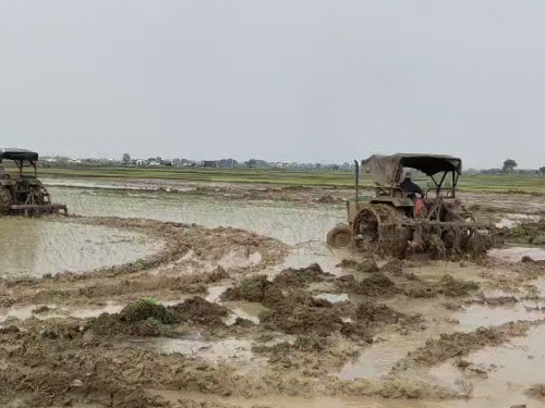 औरंगाबाद में एक्सप्रेस-वे निर्माण के लिए फसल किया नष्ट:किसानों ने जताई नाराजगी, कहा- सरकार जमीन हड़पना चाहती है, मुआवजा तक नहीं दिया