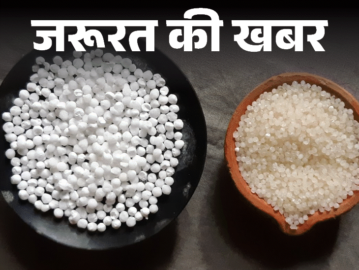 जरूरत की खबर- बाजार में मिल रहा मिलावटी साबूदाना:खाने से हो सकती हैं ये 7 हेल्थ प्रॉब्लम्स, 5 घरेलू टेस्ट से करें असली की पहचान