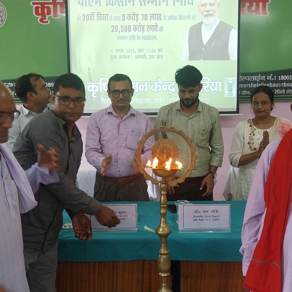पीएम किसान सम्मान निधि की 20वीं किस्त जारी:अररिया में किसानों ने देखा लाइव प्रसारण, बोले- सम्मान राशि से खेती में मिल रही राहत