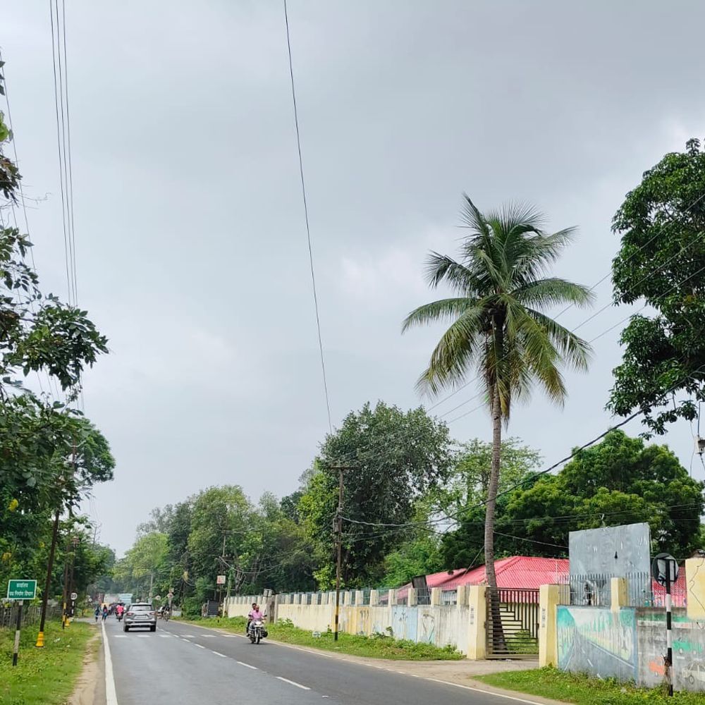 सहरसा में 5 दिन तेज हवाओं और बारिश का अलर्ट:किसानों को धान की रोपाई और फसल सुरक्षा के लिए विशेष सलाह जारी