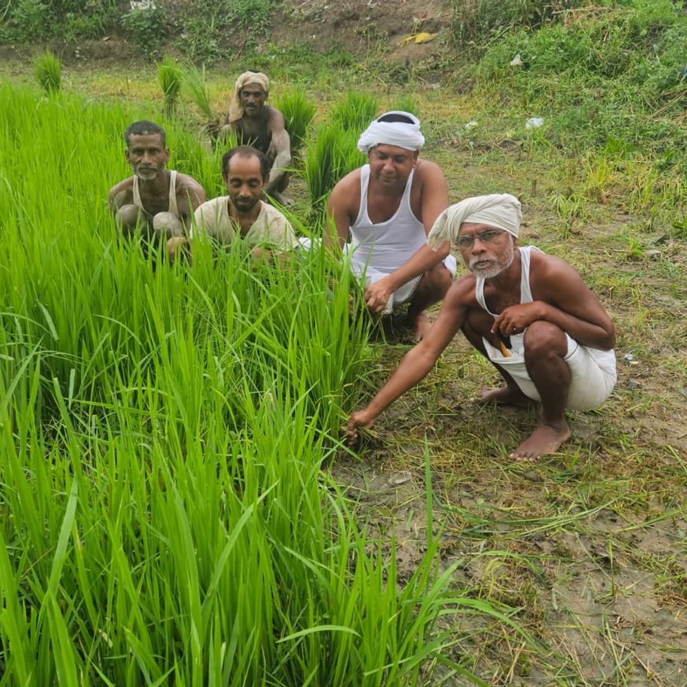 बारिश से किसानों को मिली राहत:शिवहर में लंबे सूखे के बाद हुई वर्षा, फसलों के लिए मिला पानी