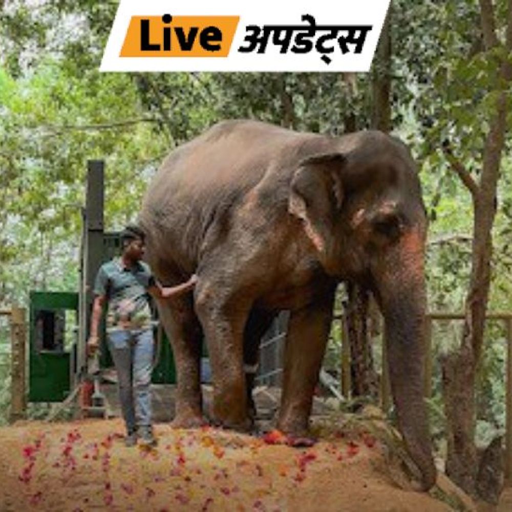 भास्कर अपडेट्स:हथिनी ‘माधुरी’ को गुजरात से वापस लाने महाराष्ट्र सरकार सुप्रीम कोर्ट में दाखिल करेगी पुनर्विचार याचिका