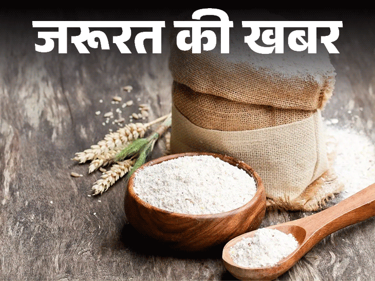 जरूरत की खबर- बरसात में आटे-गेहूं में जल्दी लगती घुन:खाने से हो सकती है फूड पॉइजनिंग, इस मौसम में आटे को सेफ रखने के 7 टिप्स