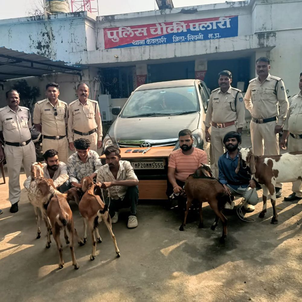सिवनी में इनोवा से हो रही थी बकरियों की तस्करी:पलारी पुलिस ने दबिश देकर 5 आरोपी पकड़े, 5 बकरियां और कार जब्त