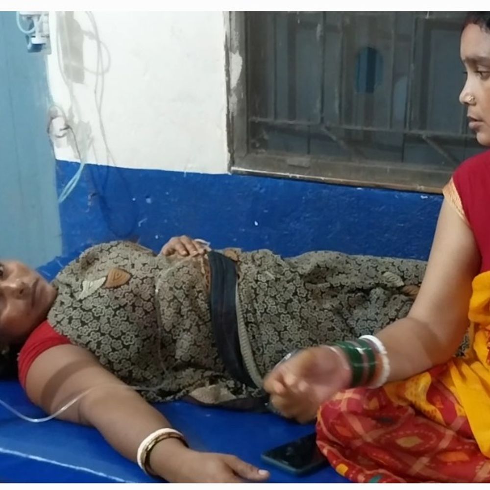 24 घंटे में 5 लोगों को सांप ने डंसा:सभी का नवादा सदर अस्पताल में चल रहा इलाज, पांचों खतरे से बाहर
