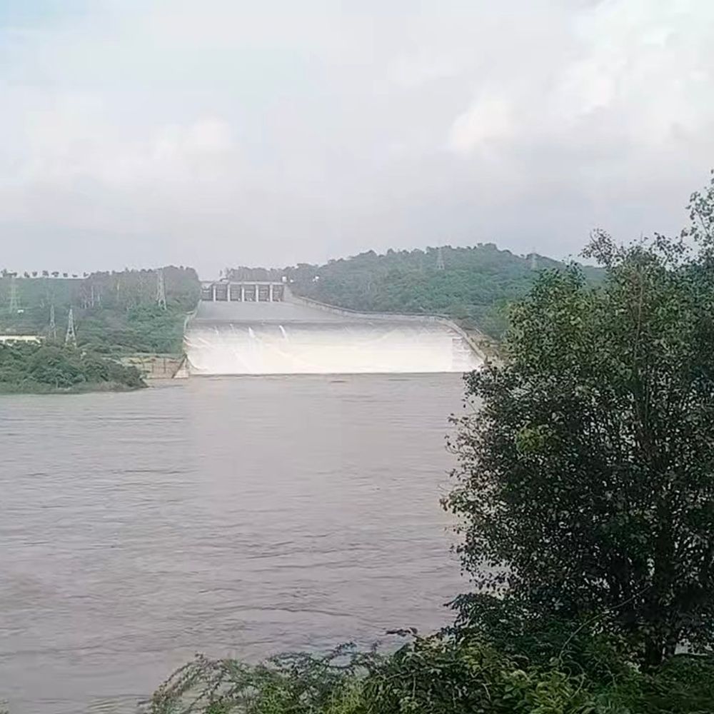 होशियारपुर में पौंग डैम से 40 हजार क्यूसेक पानी छोड़ा:महाराणा प्रताप झील का जलस्तर 1375.8 फुट पहुंचा, शाह नहर बराज के 18 फ्लड गेट खोले