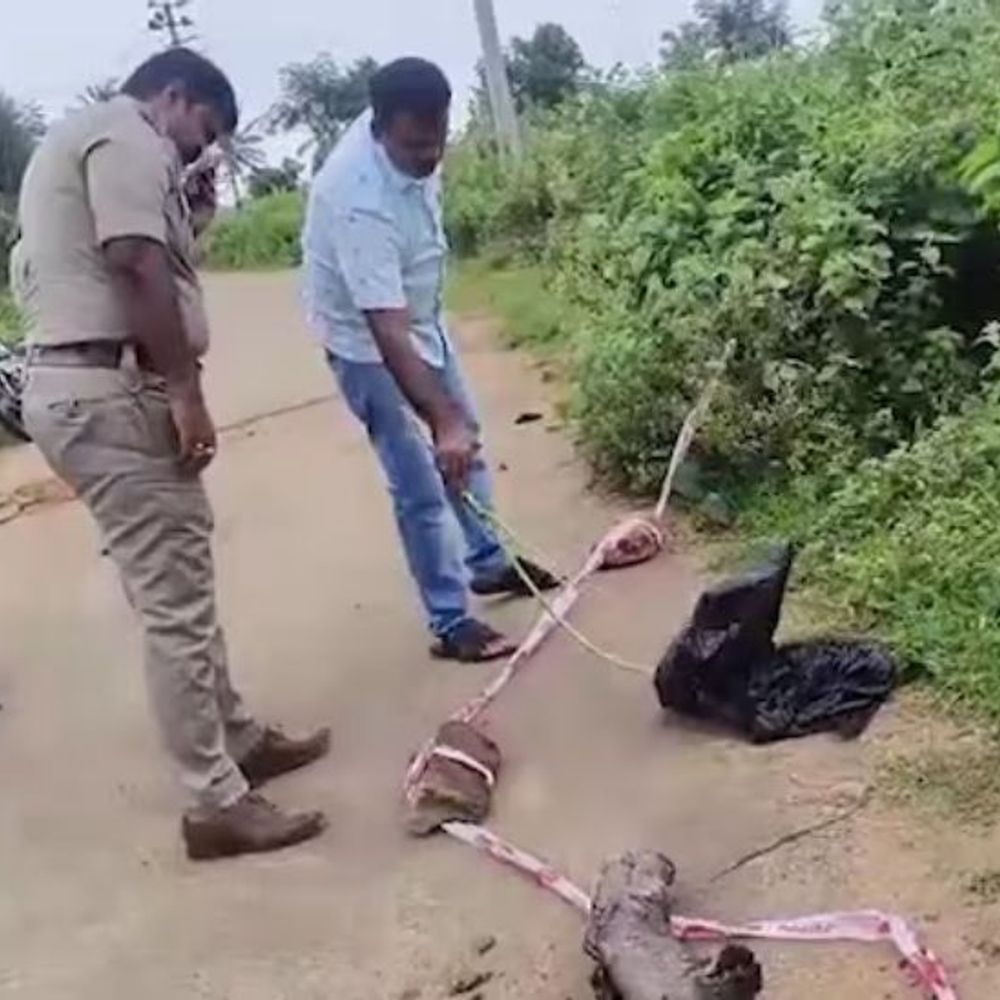 कर्नाटक में महिला का कटा हुआ सिर मिला:10 अलग-अलग जगहों से शव के टुकड़े बरामद, 4 दिन से लापता थी महिला