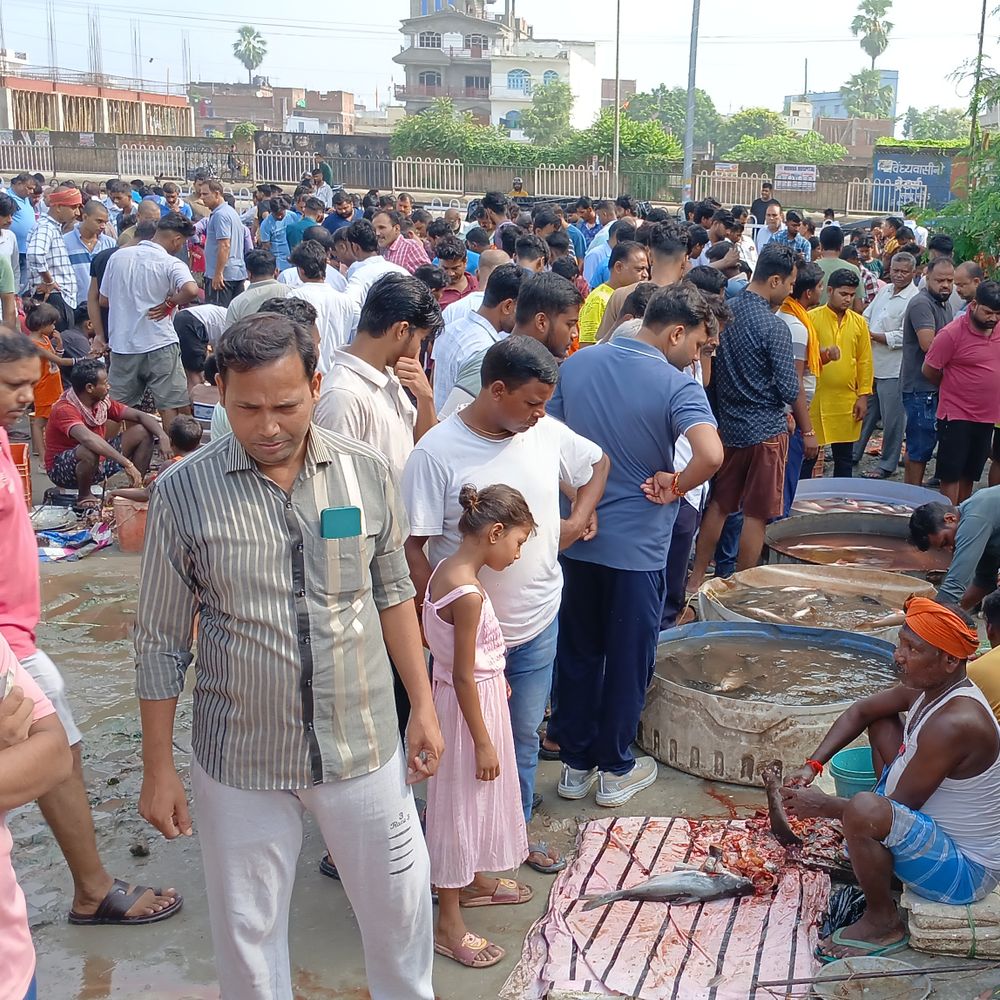 17 किलो का कतला मछली 12,750 में बिका:गोपालगंज में सावन खत्म होते ही बाजार में भीड़, 70 क्विंटल मछली की हुई खपत