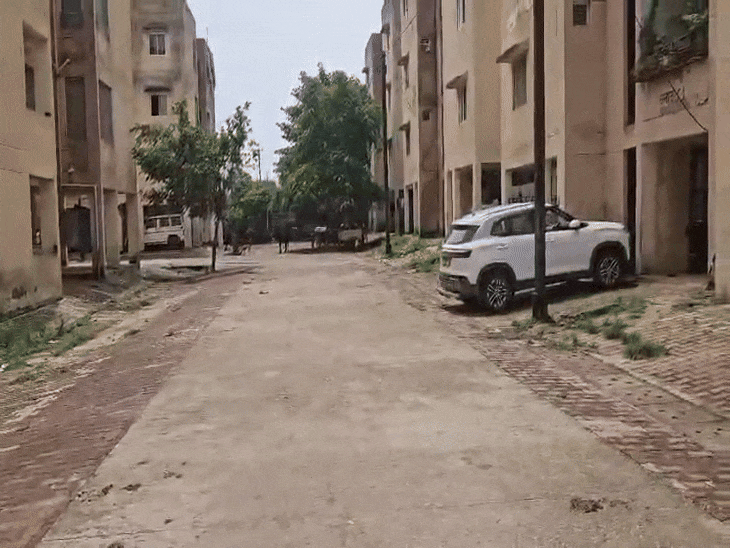 रीवा में 115 पीएम आवासों में किराएदार रह रहे:119 पर ताले मिले; निगम आयुक्त गड़बड़ी की जांच के निर्देश दिए