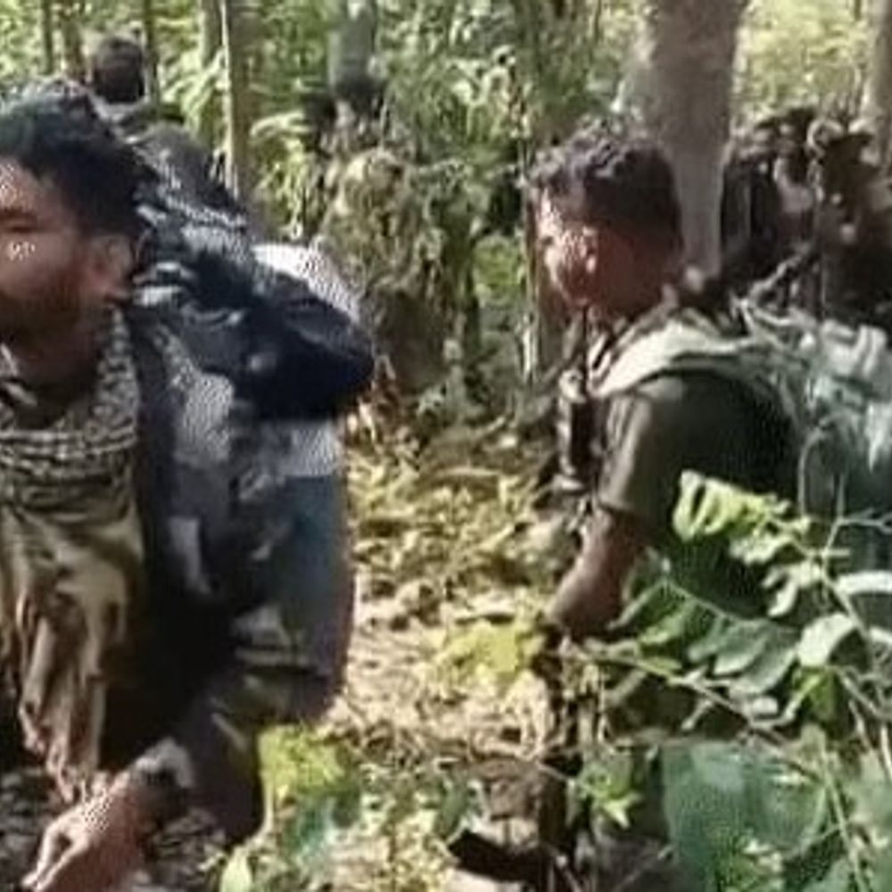 औरंगाबाद में एक-47 के 81 कारतूस बरामद:जंगल में पत्थर के नीचे नक्सलियों ने छिपाकर रखा था, सर्च ऑपरेशन में कार्रवाई