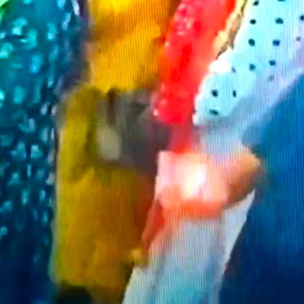 ग्वालियर में महिला श्रद्धालु का पर्स चोरी:मंदिर में 17 हजार रुपए पर किए हाथ साफ़, वारदात CCTV में हुई कैद