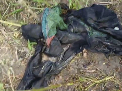 बेगूसराय के खेत में मिला नरकंकाल, सिर-पैर की हड्डी जब्त:घटनास्थल से जींस-टी शर्ट बरामद, ग्रामीण बोले- हत्या कर लाश यहां फेंकी