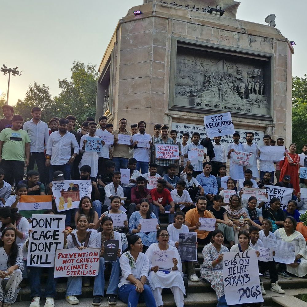 आवारा कुत्तों को हटाने के फैसले के खिलाफ पैदल मार्च:पटना के गांधी मैदान से कारगिल चौक तक निकले लोग, जमकर किया विरोध