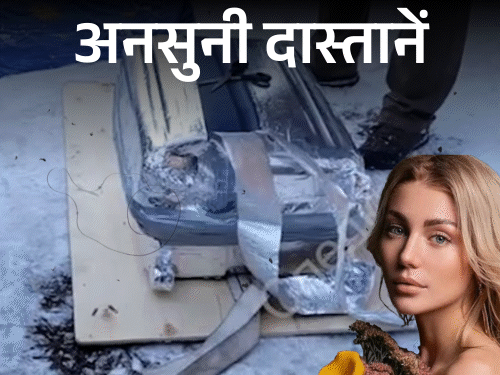 सूटकेस में सड़ी मिली थी रूसी मॉडल की लाश:पुतिन को कहा था साइको; 3 दिन लाश के साथ सोया कातिल, सालभर गैराज में रखी बॉडी