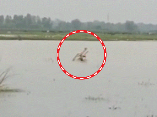 आज 23 जिलों में बारिश का अलर्ट:20 जिलों में बाढ़ जैसे हालात; प्रदेश में अब तक 6% अधिक बरसात