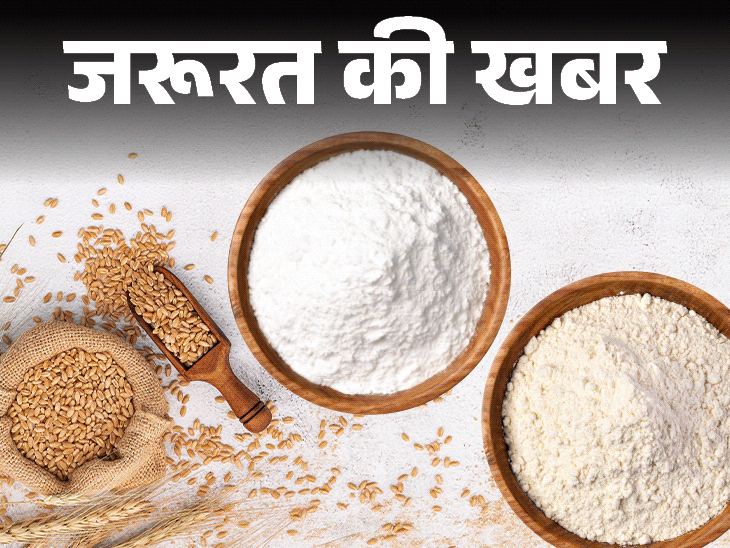 जरूरत की खबर- आटे और मैदे में क्या फर्क है:दोनों बनते गेंहू से, लेकिन एक सेहत के लिए अमृत तो दूसरा जहर, जानें मैदे के नुकसान