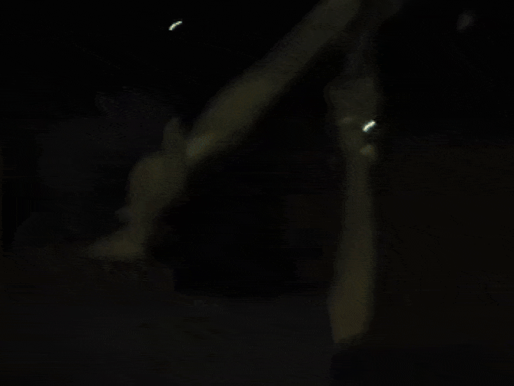 भिंड के बीहड़ में खुलेआम फायरिंग का वीडि​​​​​​​यो:गोली चलाने की प्रेक्टिस करता दिखा युवक; टीआई बोले- पहचान कर कार्रवाई करेंगे