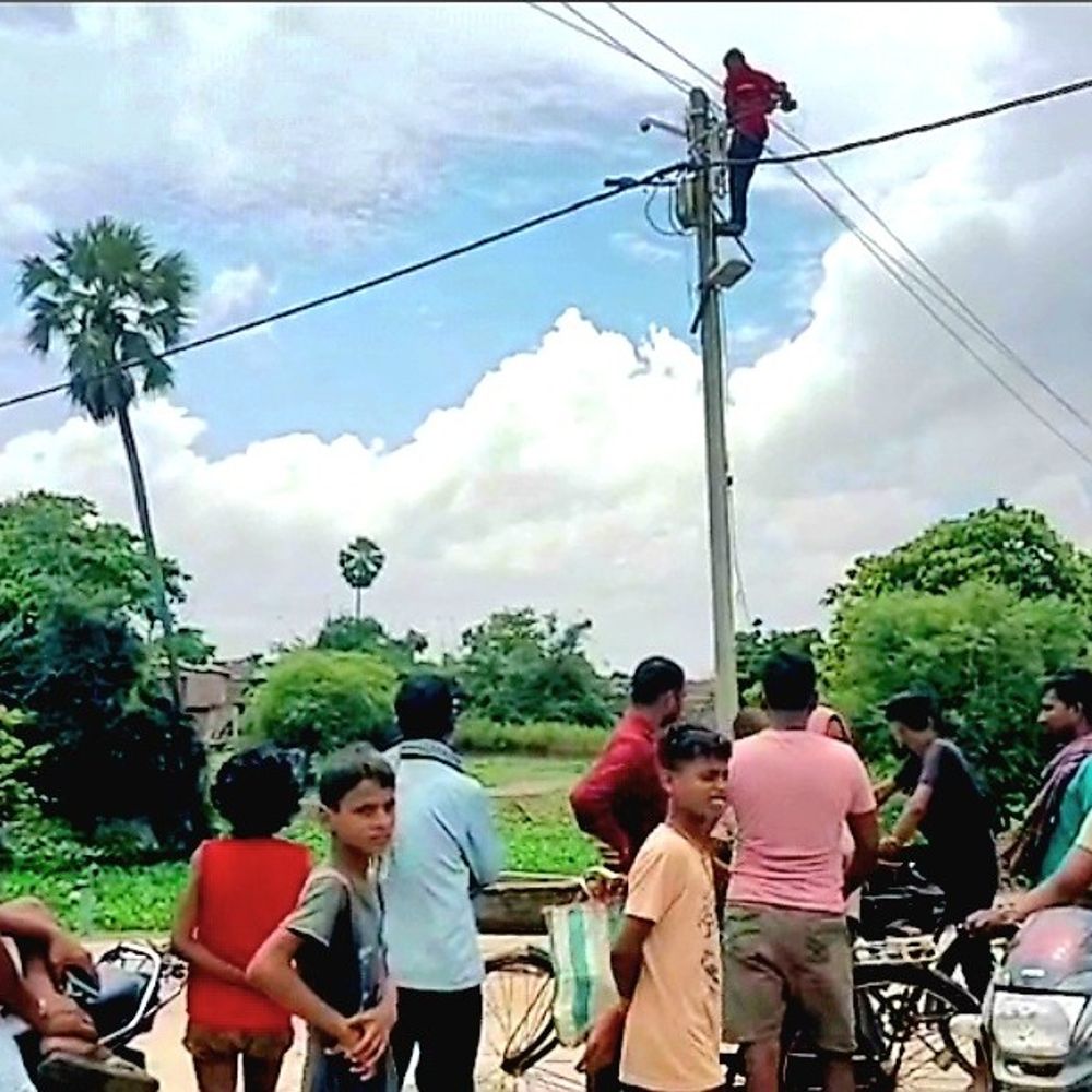 खगड़िया में बिजली का करंट लगने से हादसा:गोगरी में दो मवेशी की मौत, बिजली विभाग पर लापरवाही का आरोप; ग्रामीणों में आक्रोश