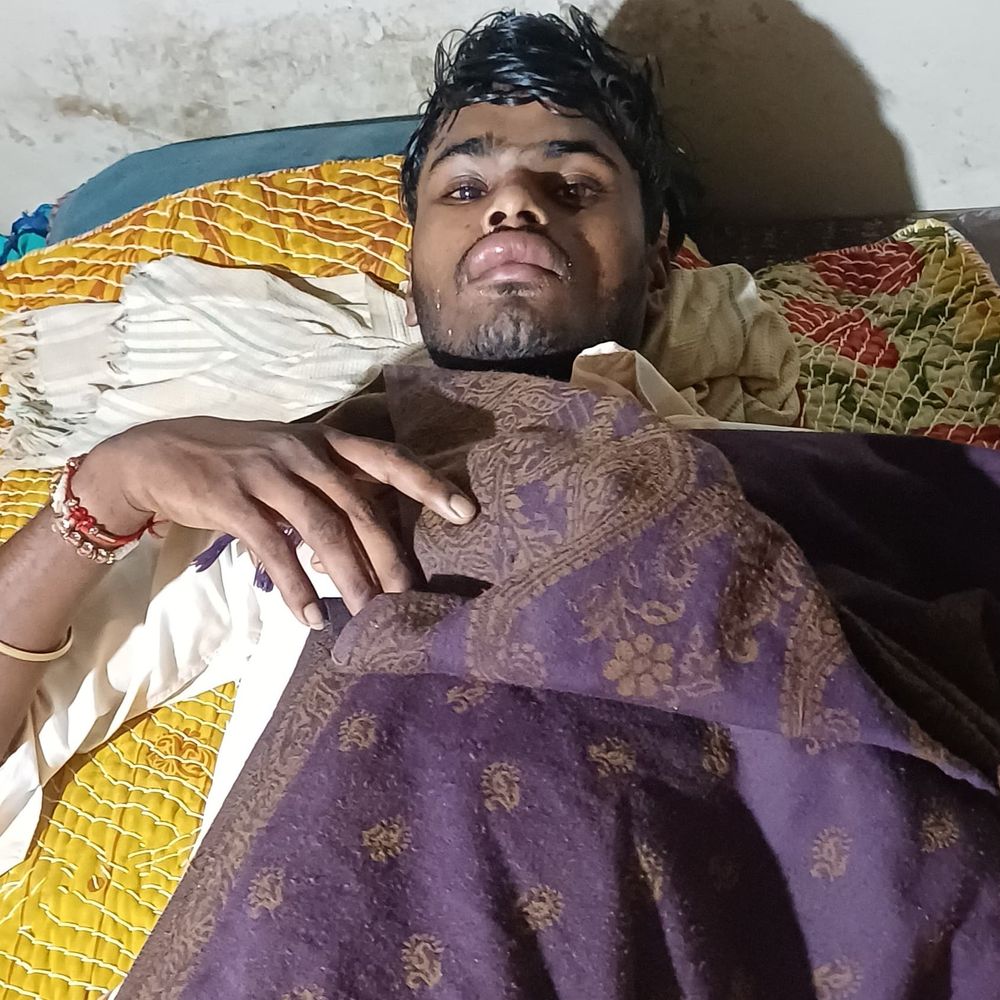 जमुई में मधुमक्खियों के हमले से एक शख्स की मौत:मवेशी चराने गए 5 लोगों पर हमला, 4 घायल; इलाज जारी