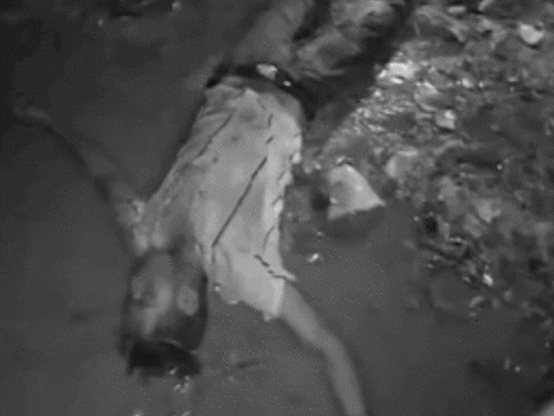 मोतिहारी में गैंगवार में डबल मर्डर:कुख्यात ने फोन कर पत्नी से कहा- सनोवर ने गोली मार दी, जल्दी आओ; मर्डर केस में मिली थी बेल