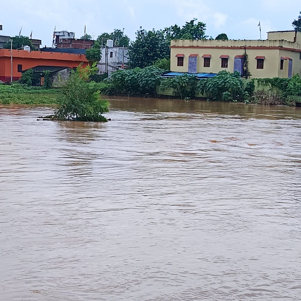 जहानाबाद में फल्गु नदी का तटबंध टूटा:25 गांवों में घुसा पानी, धान की फसल बर्बाद; किसान परेशान