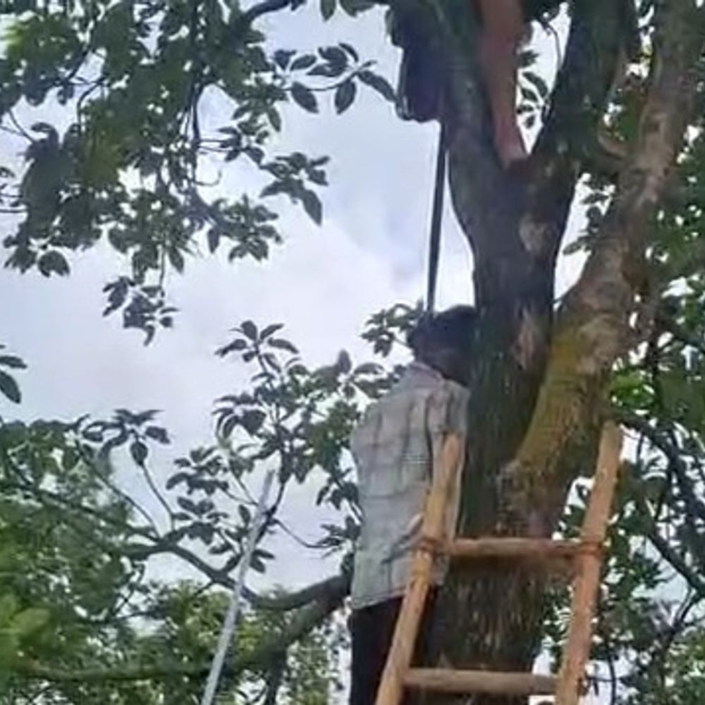 कैमूर में युवक का पेड़ से लटका मिला शव:मरीज को अस्पताल पहुंचाने के बाद नहीं लौटा था घर, ग्रामीणों ने लगाया हत्या का आरोप