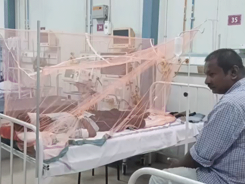 मुजफ्फरपुर में डेंगू के 4 केस आए सामने:SKMCH में चल रहा है इलाज, एक गर्भवती महिला भी शामिल
