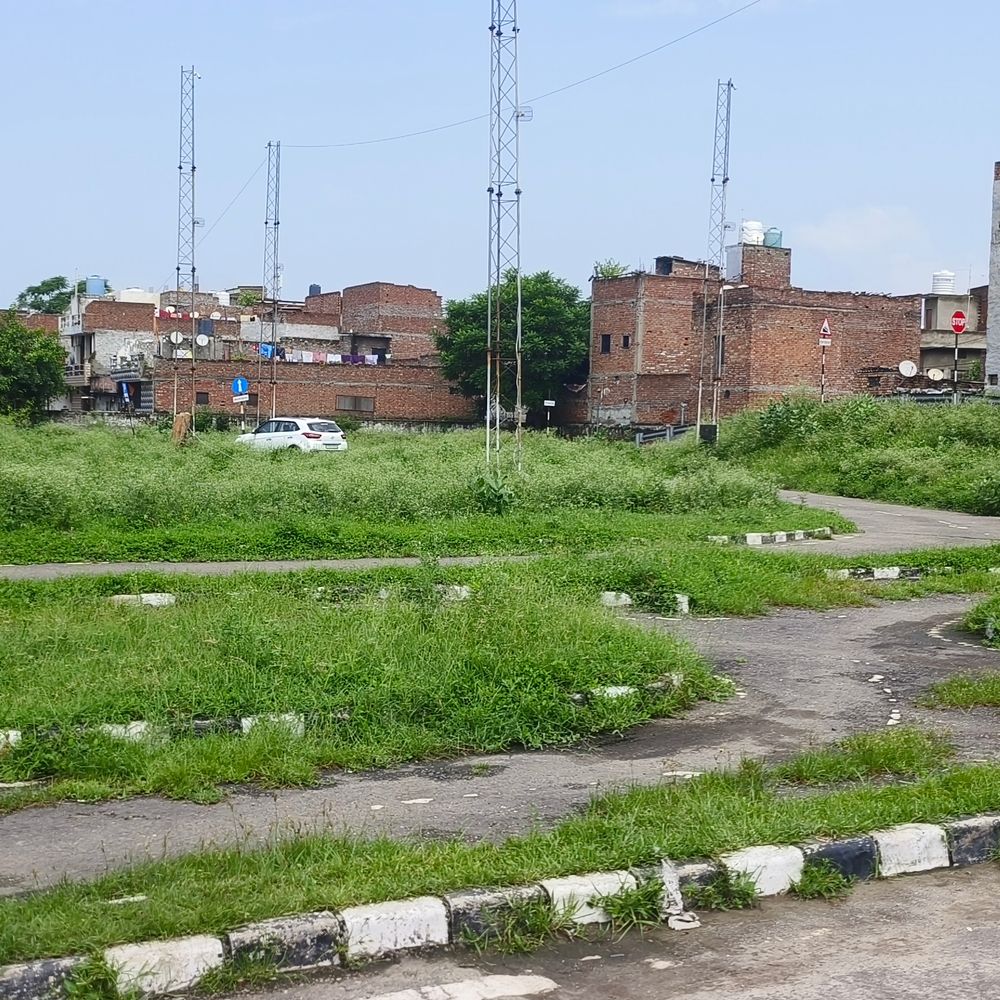 The lines on the driving test track have been erased by bushes... hundreds of people are facing problems every day | ड्राइविंग टेस्ट ट्रैक पर झाड़ियों से लाइनें मिट चुकीं... हर दिन सैकड़ों लोग परेशान हो रहे - Ludhiana News | Dainik Bhaskar