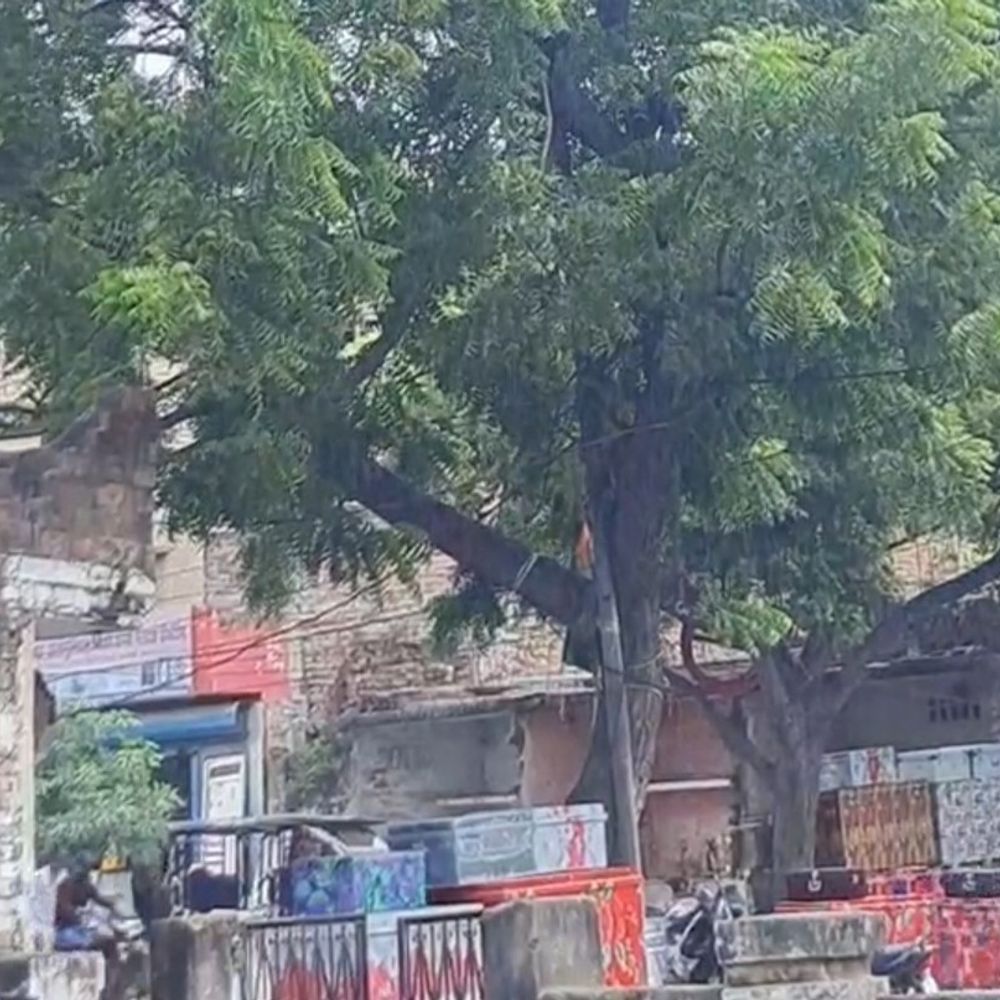 बलरामपुर में आधे घंटे से लगातार बारिश जारी:सुबह से ही आसमान में छाए रहे घने बादल, तापमान में गिरावट