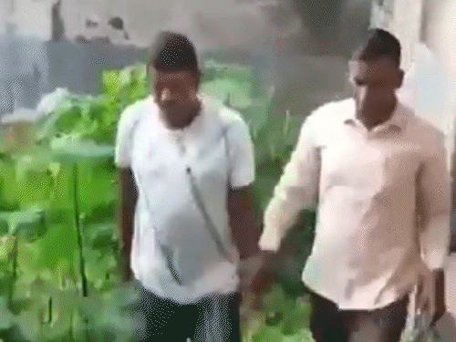 स्कूल भर्ती घोटाले में TMC विधायक गिरफ्तार:ED पकड़ने पहुंची तो दीवार कूदकर भागने की कोशिश की, मोबाइल भी नाले में फेंका