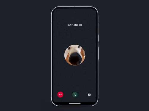 वॉट्सएप से नेटवर्क बिना भी कर सकेंगे ऑडियो-वीडियो कॉलिंग:गूगल पिक्सल 10 सीरीज सेटेलाइट कॉलिंग फीचर वाले दुनिया के पहले मोबाइल