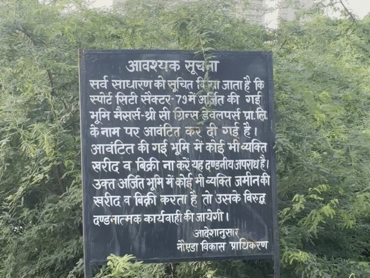 नोएडा स्पोर्ट्स सिटी- 9000 करोड़ का घोटाला किसने किया:बोर्ड पर सिमटा पूरा प्रोजेक्ट, पीड़ित बोले- 1 करोड़ में फ्लैट खरीदा, जंगल में बसाया