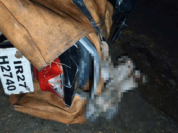 नूंह में गौ तस्करों के ठिकानों पर पुलिस की रेड:320 किलो गोमांस बरामद, बाइकों से करते थे होम डिलीवरी, फरार हुए