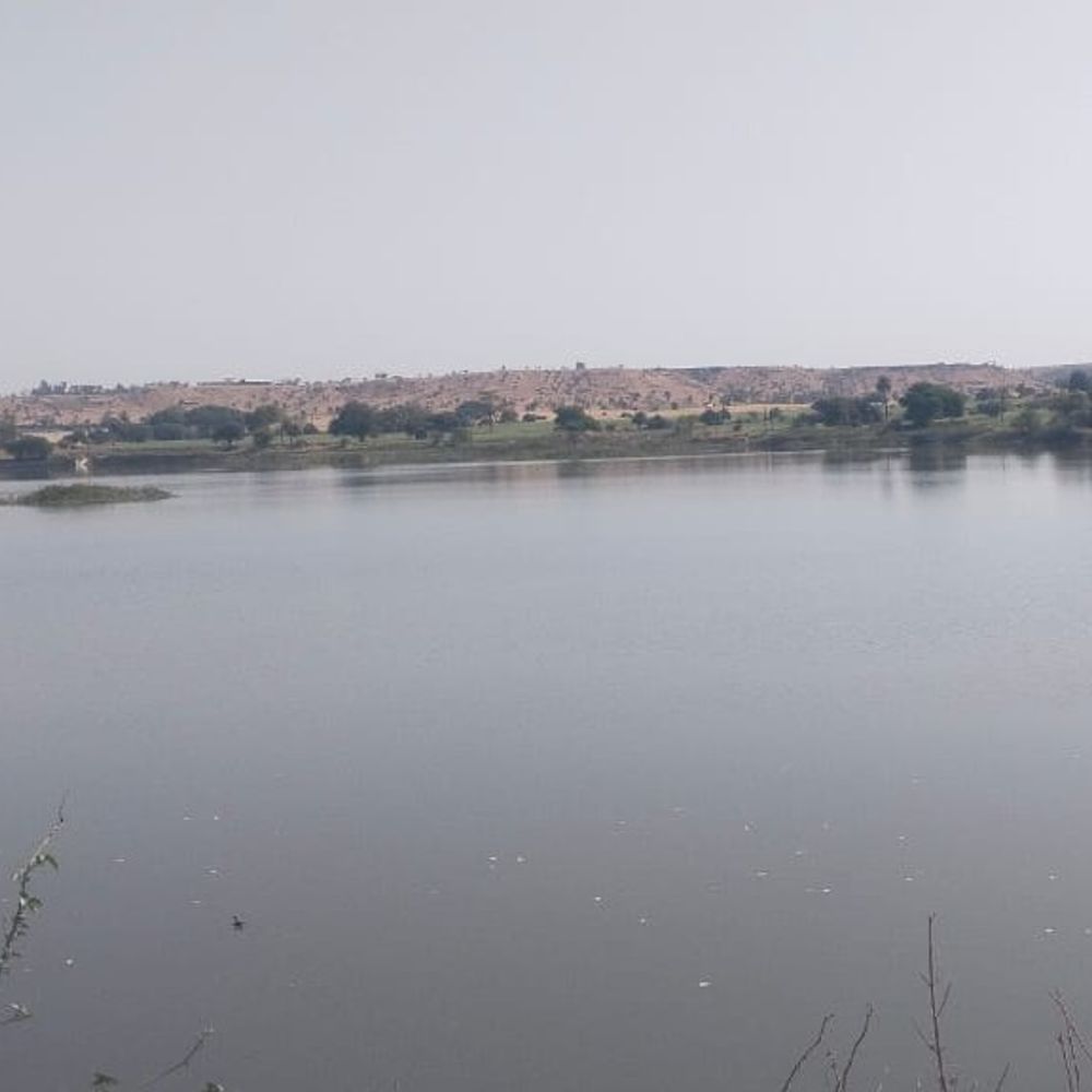 धार में मानसून कमजोर, 7 इंच कम बारिश हुई:जिले में सर्वाधिक 26.41 इंच वर्षा बदनावर में; कई बांध व तालाब अब भी खाली
