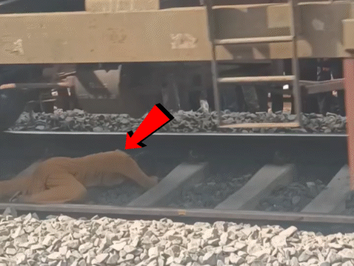 2 लड़कियों के ऊपर से गुजरी ट्रेन, VIDEO:ट्रैक पर लेटकर दोनों ने बचाई जान; पटरी पार करते समय अचानक चल पड़ी ट्रेन