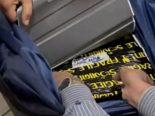 अहमदाबाद एयरपोर्ट से 4 करोड़ का गांजा जब्त:बैंकॉक से आई युवती ट्रॉली बैग में छिपाकर लाई थी, बैग गुम होने से हुआ पर्दाफाश